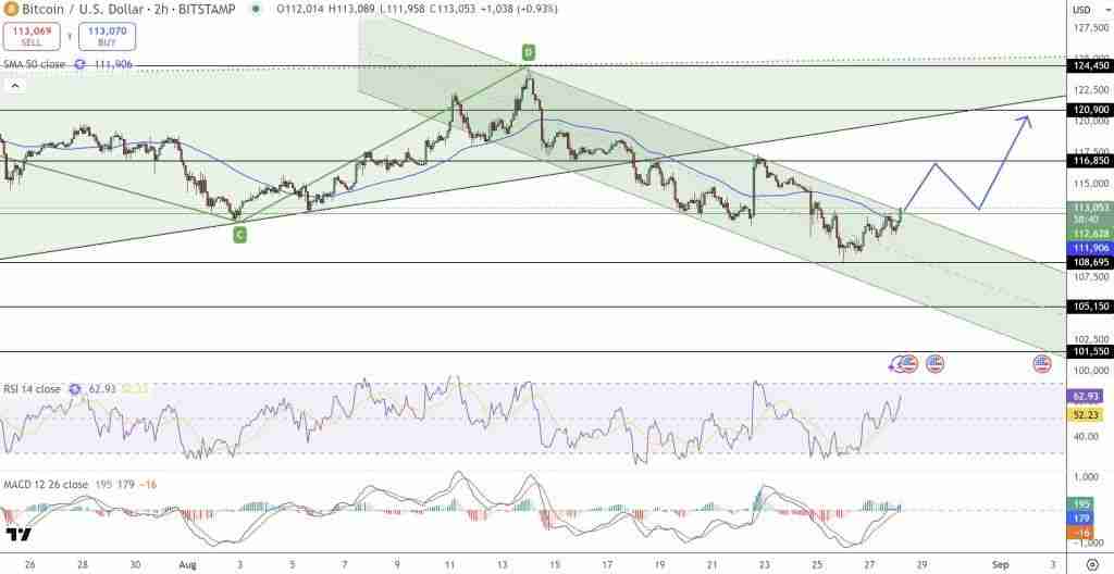 比特币价格预测:2.19 亿美元资金涌入比特币 ETF!机构悄然备战冲刺100万美元